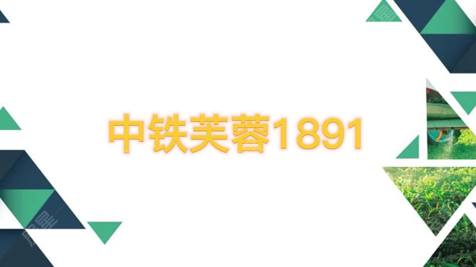 中铁芙蓉1891揽峰视频