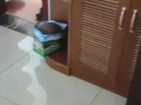 3室2廳1陽臺 潤城二區(qū)視頻