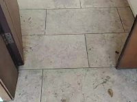 5室2廳3陽臺 世博生態(tài)城依山鄰里別墅視頻