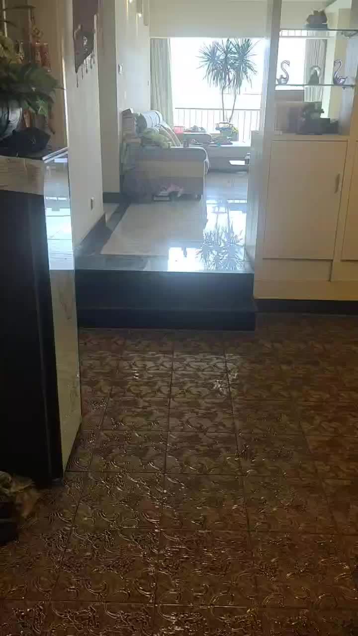 3室2廳1陽臺 美璟欣城視頻