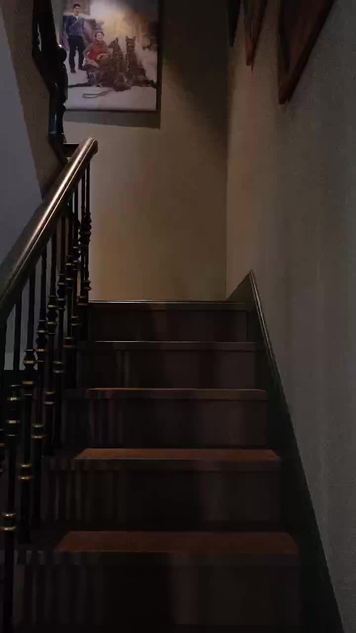 4室2廳3陽臺 滇池ONE A16號地塊別墅視頻