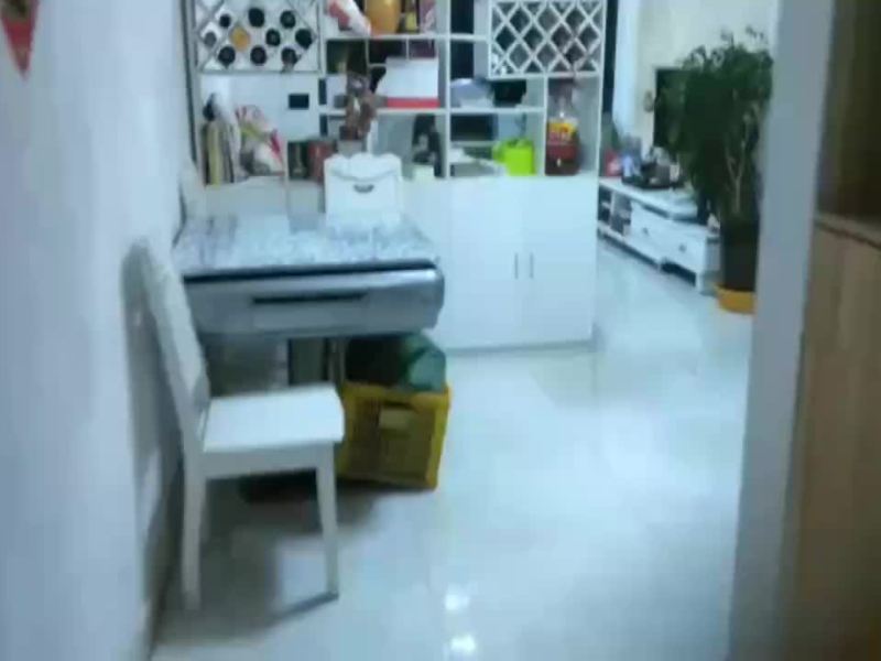 3室2廳1陽臺(tái) 蘭亭上錦二期視頻