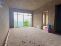 5室3廳3陽臺 清水木華別墅視頻