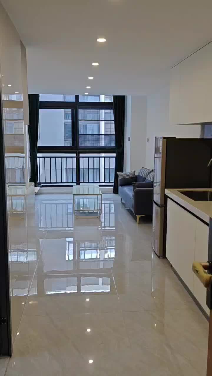 2室1厅 魅力之城六期公寓视频