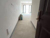 3室2廳1陽臺 大華公園天下東湖苑視頻