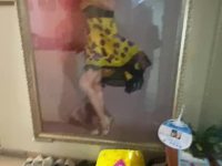 3室1廳1陽臺 和諧世紀視頻