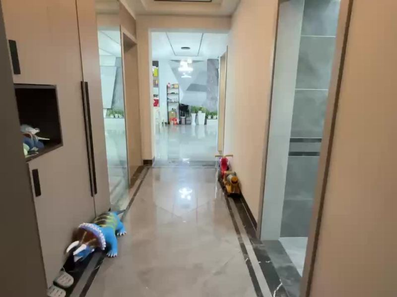 4室2廳2陽臺 北京路花苑視頻