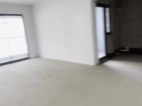 3室2廳2陽臺 新希望觀瀾匯視頻