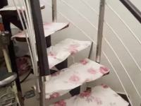 3室2廳1陽臺 晴朗云安視頻