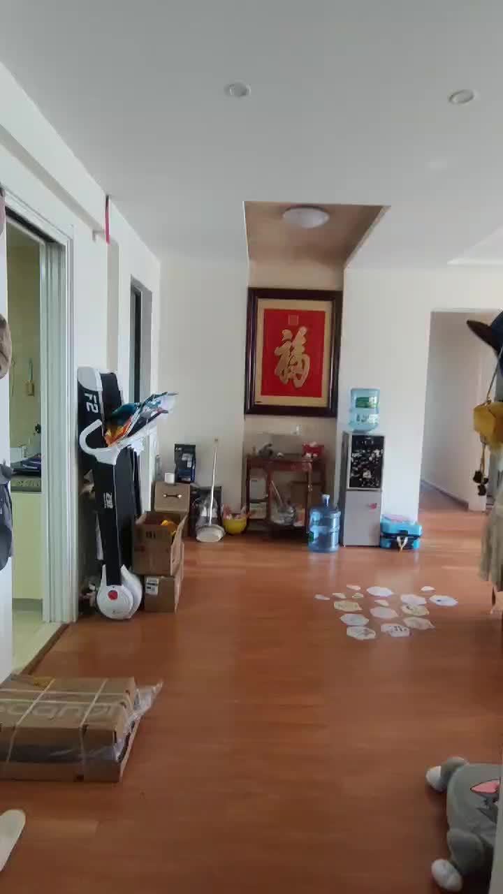 4室2廳2陽臺 金域緹香視頻