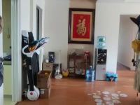 4室2廳2陽臺 金域緹香視頻