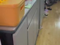 3室2廳1陽臺 新希望希望匯視頻