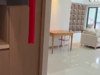 3室1廳1陽臺 大華公園天下時光園視頻