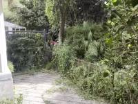 3室2廳1陽臺 理想小鎮(zhèn)視頻