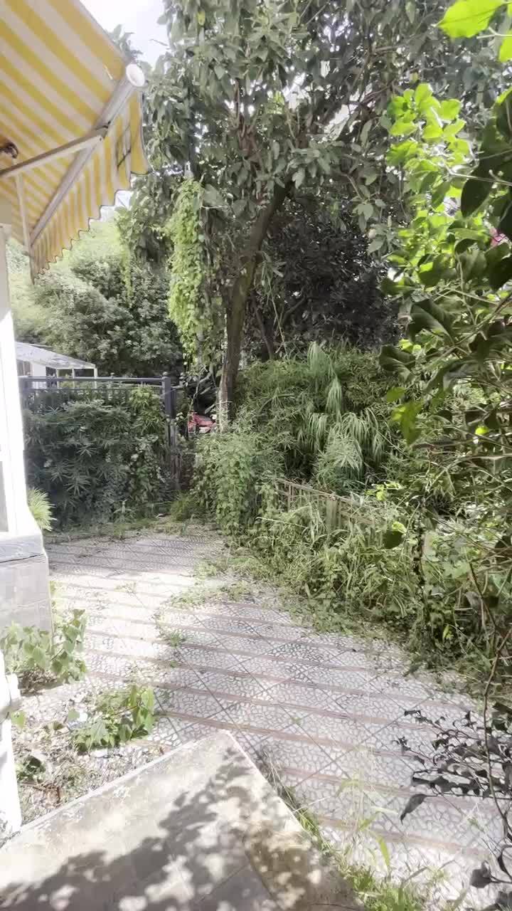 3室2廳1陽臺 理想小鎮(zhèn)視頻