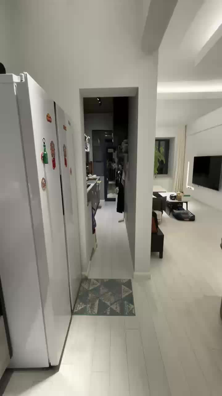 3室2廳 大觀首府視頻